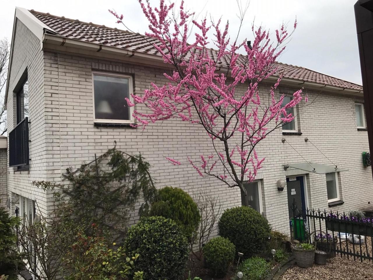 哈斯杜因住宿加早餐旅馆 滨海韦克 外观 照片